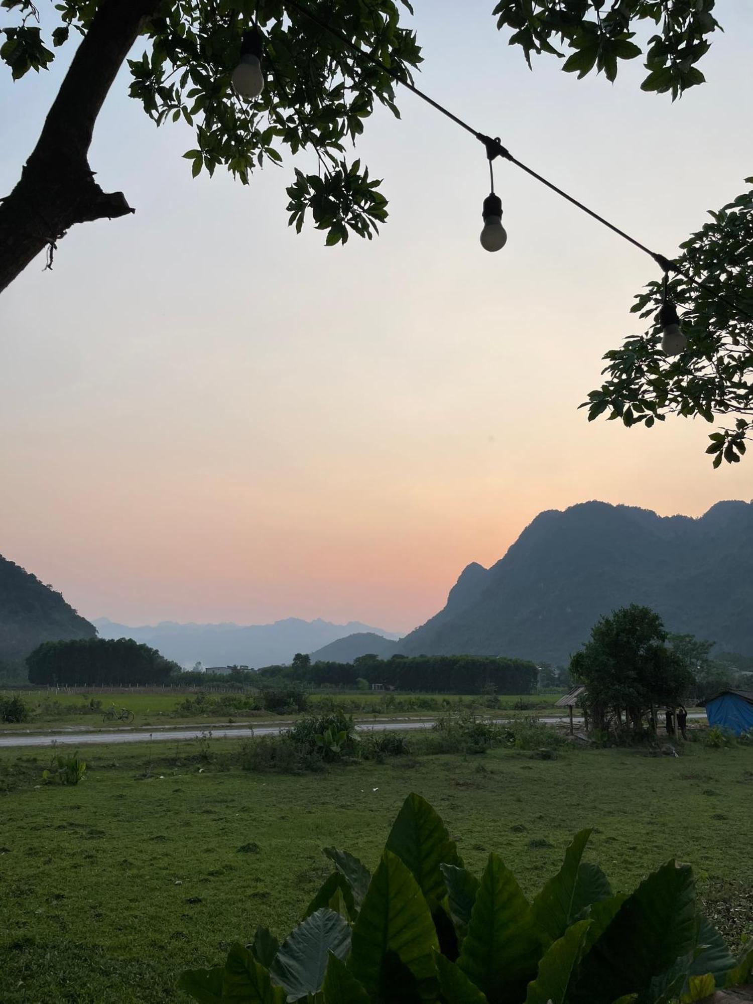 Jungle Boss Homestay Phong Nha Buitenkant foto