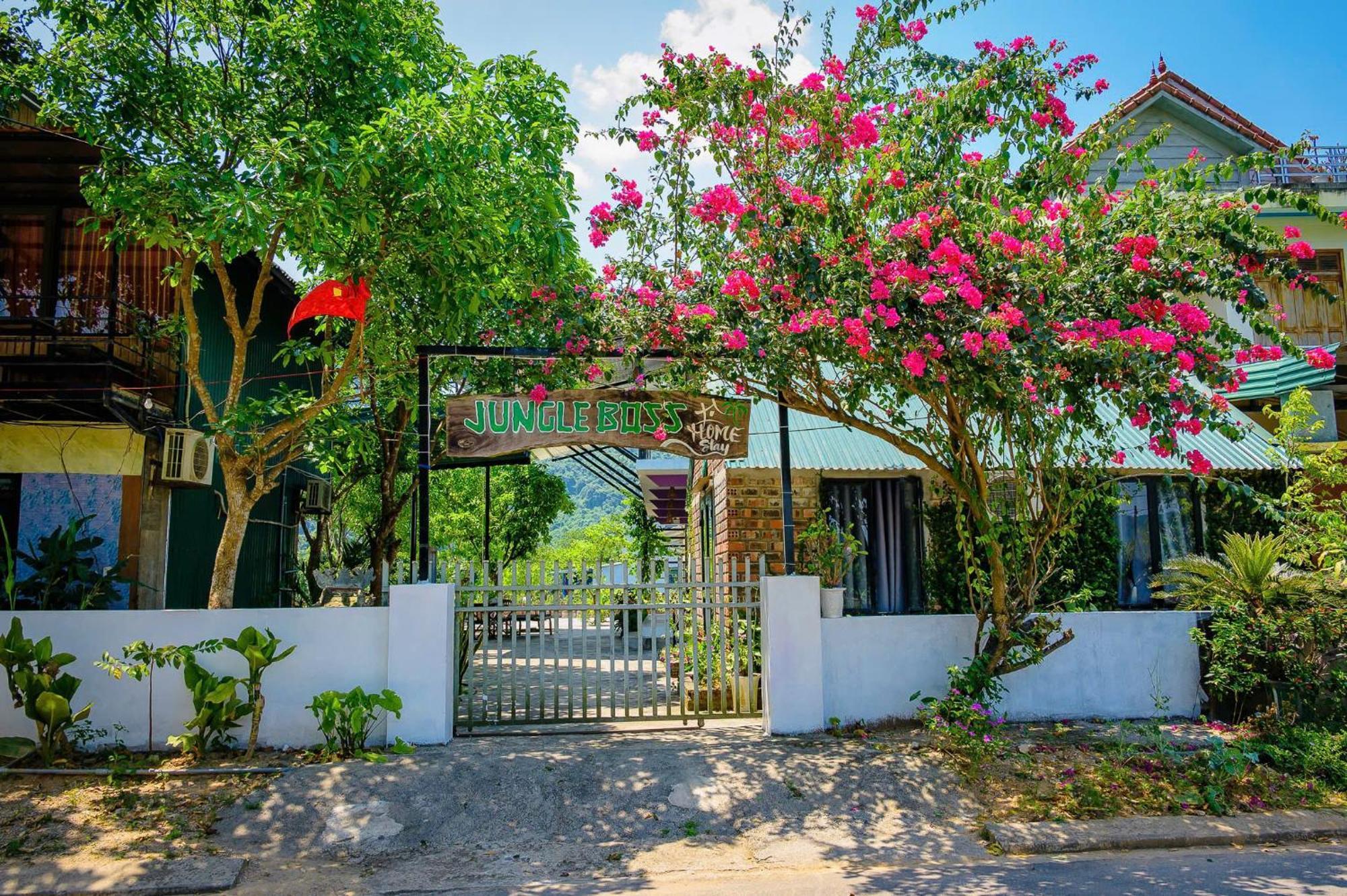 Jungle Boss Homestay Phong Nha Buitenkant foto