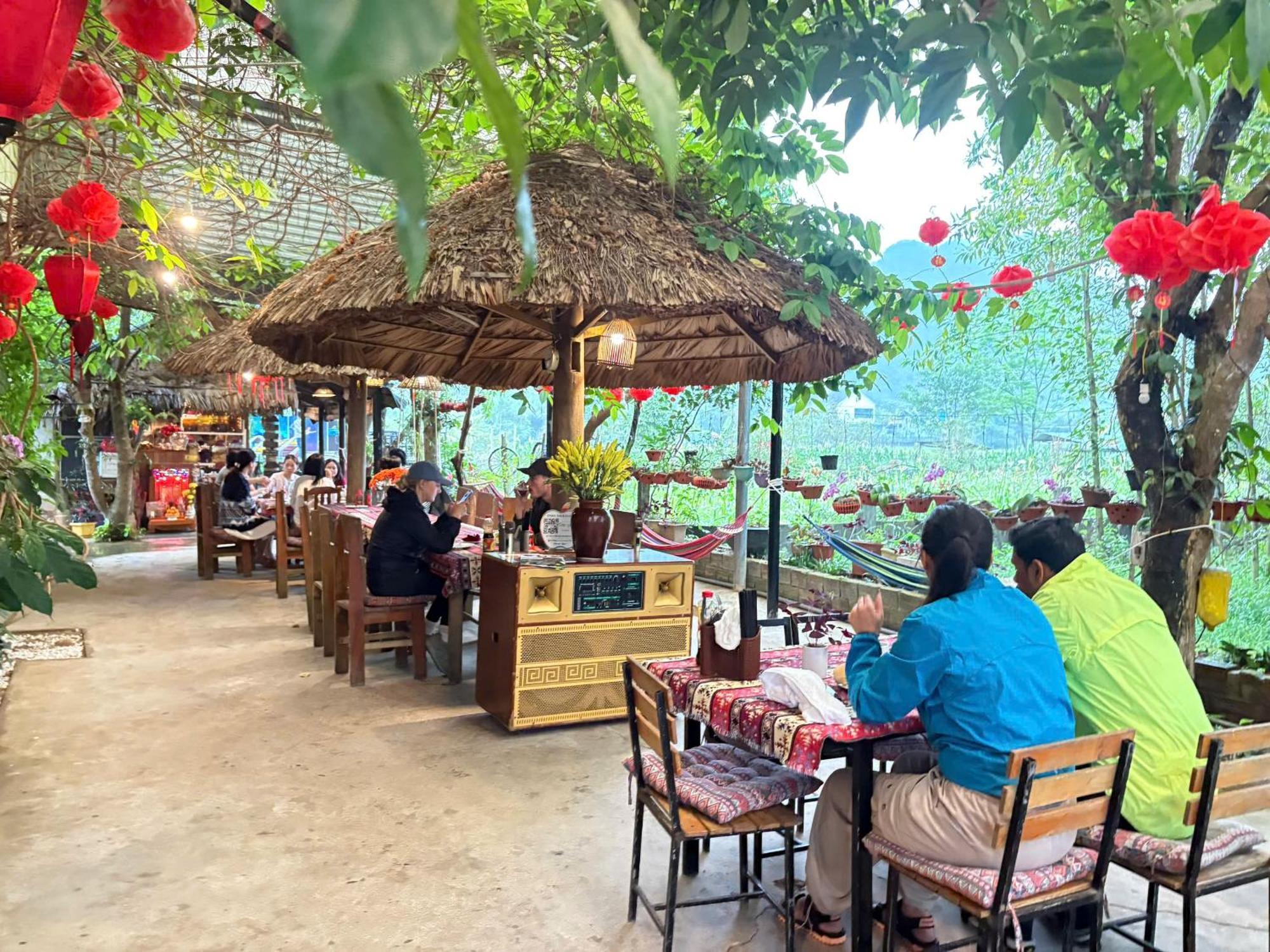 Jungle Boss Homestay Phong Nha Buitenkant foto
